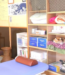 e58d81e5928ce794b0e695b4e4bd93e38284e38199e38289e3818e